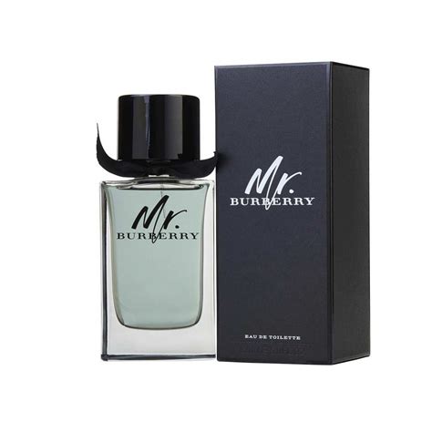 mr. burberry eau de toilette 100ml